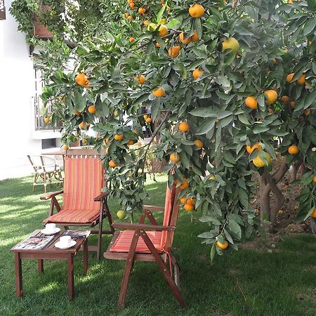 Hotel Ephesus Paradise Selcuk Exteriér fotografie