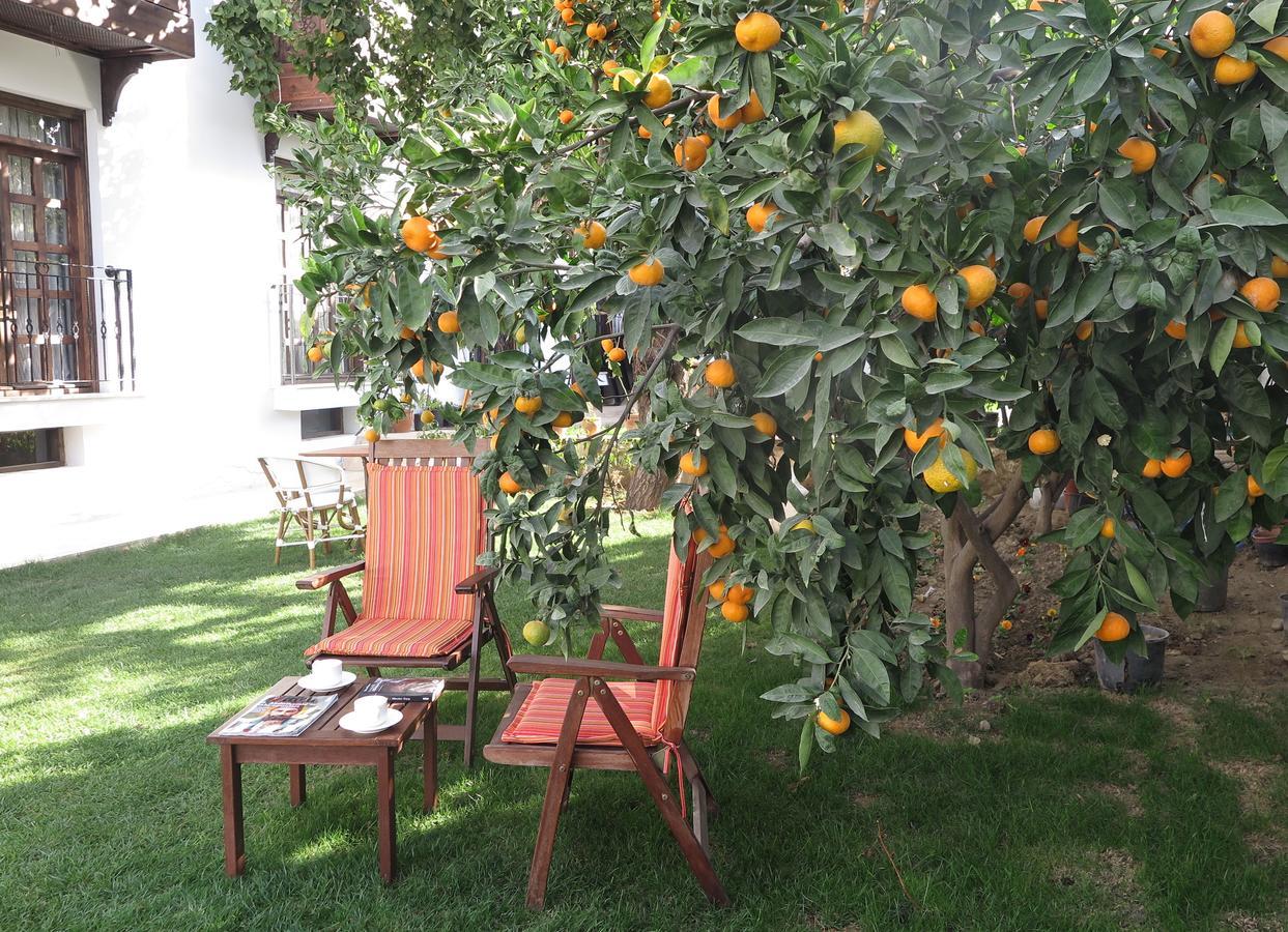 Hotel Ephesus Paradise Selcuk Exteriér fotografie