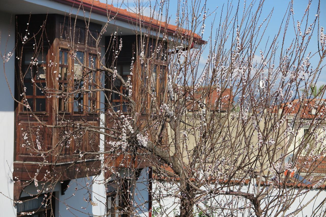 Hotel Ephesus Paradise Selcuk Exteriér fotografie