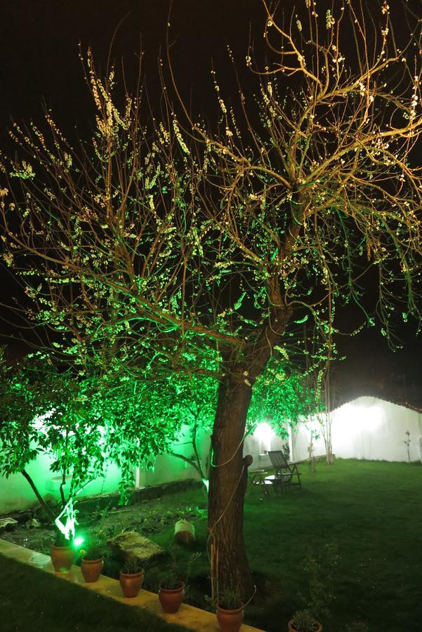 Hotel Ephesus Paradise Selcuk Exteriér fotografie