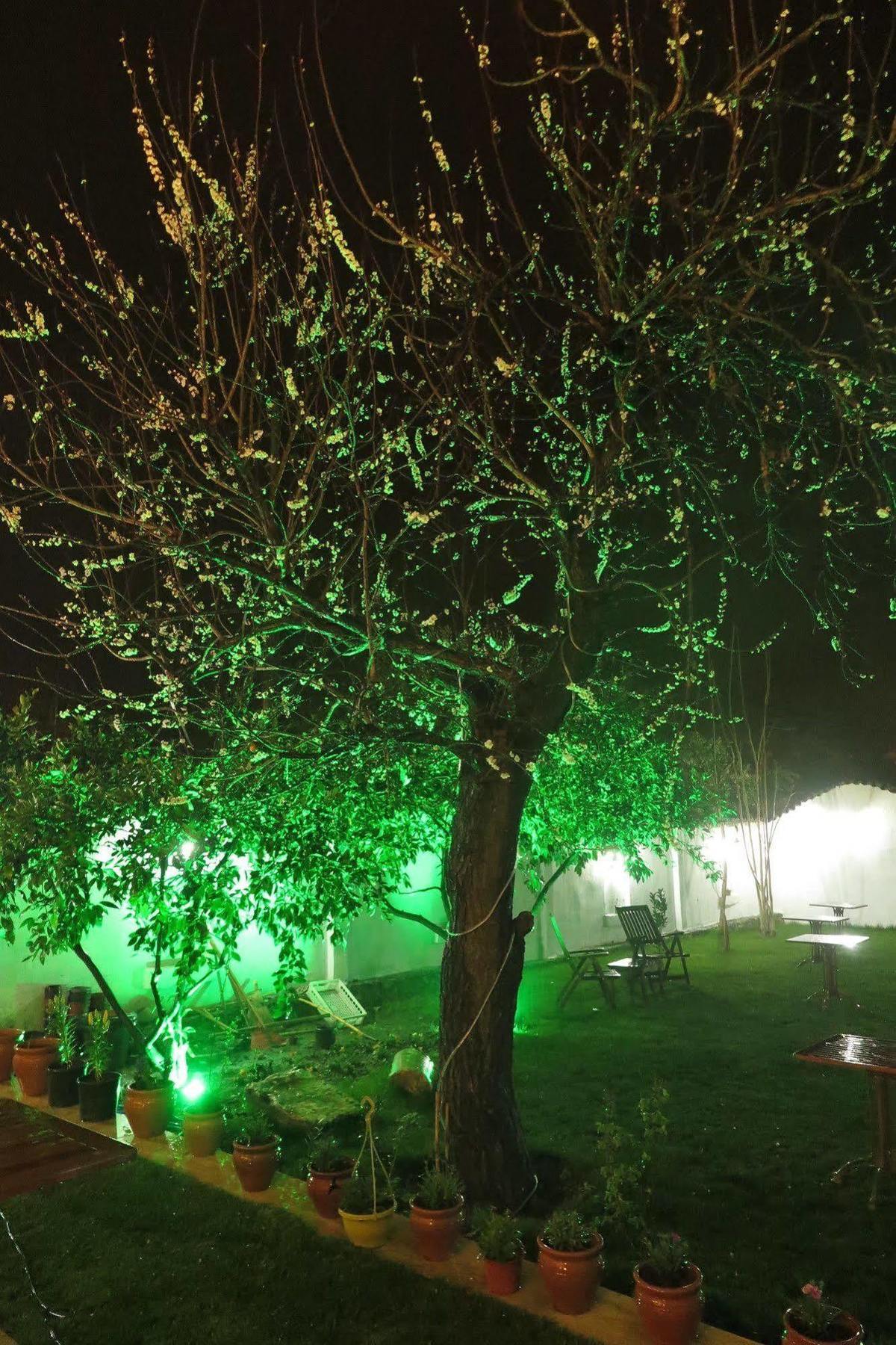 Hotel Ephesus Paradise Selcuk Exteriér fotografie